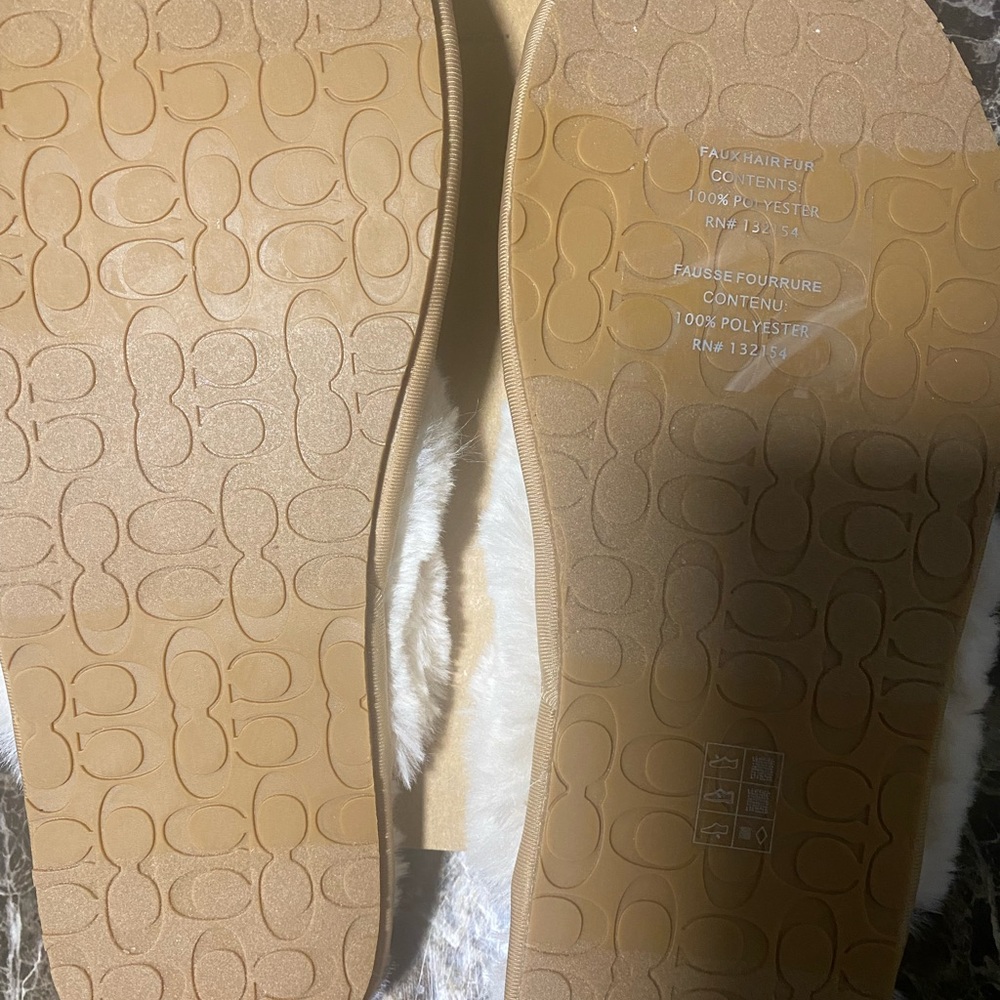 Coach Slides - Picture 4 of 5